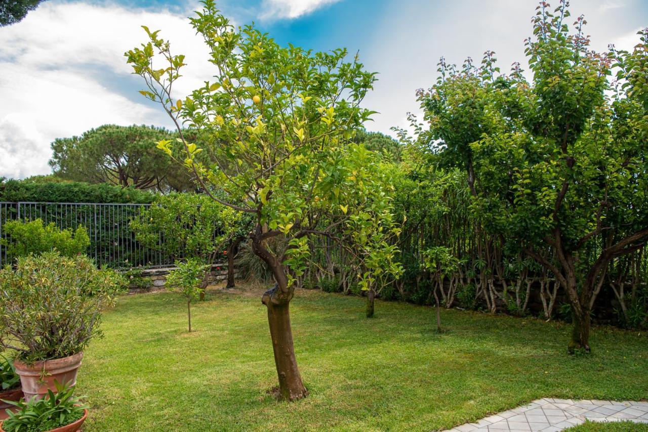 Magnificent Villa Sanremo Exterior foto